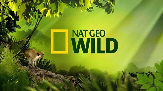 Nat Geo Wild