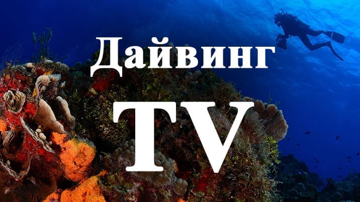 Дайвинг TV