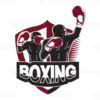 Boxing TV