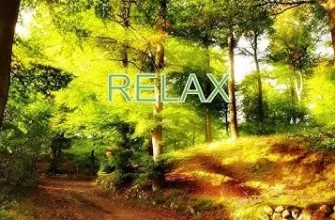 Лес музыка для релаксации