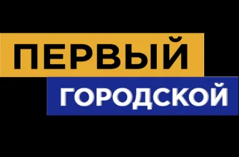 Первый городской телеканал Омск