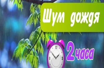 Расслабляющие Звуки Дождя. Дождь для Сна. Белый шум