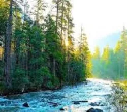 Реки музыка для релаксации